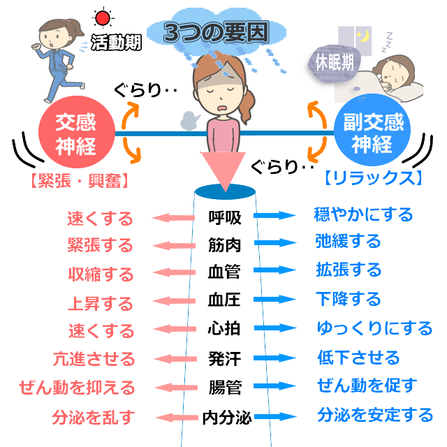 神経のバランス