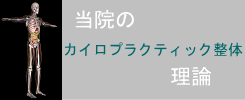 なつぎ夙川整体の整体理論